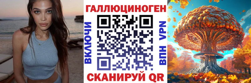 Псилоцибиновые грибы Cubensis  что такое   Красноярск 