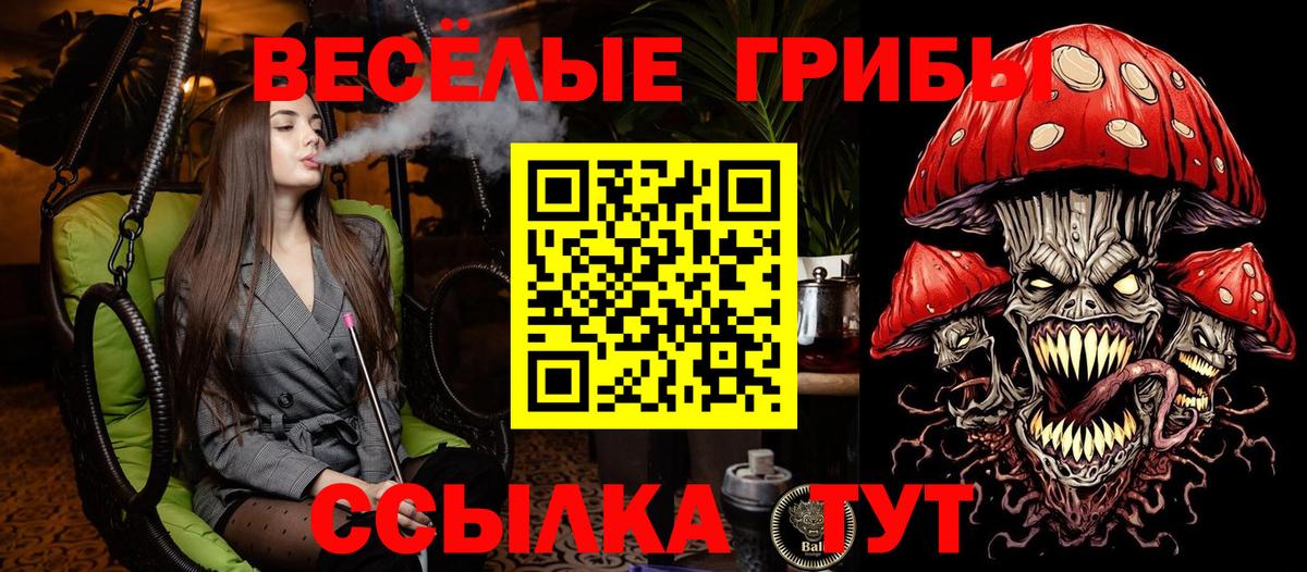 Галлюциногенные грибы прущие грибы  Вход с VPN  Красноярск  Галлюциногенные грибы мицелий 