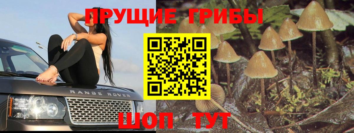 Псилоцибиновые грибы MAGIC MUSHROOMS Красноярск